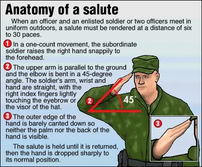 Anatomy-of-a-salute.jpg